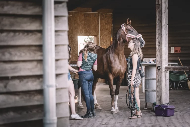 Foto-Story Pferdeshooting "getting ready"