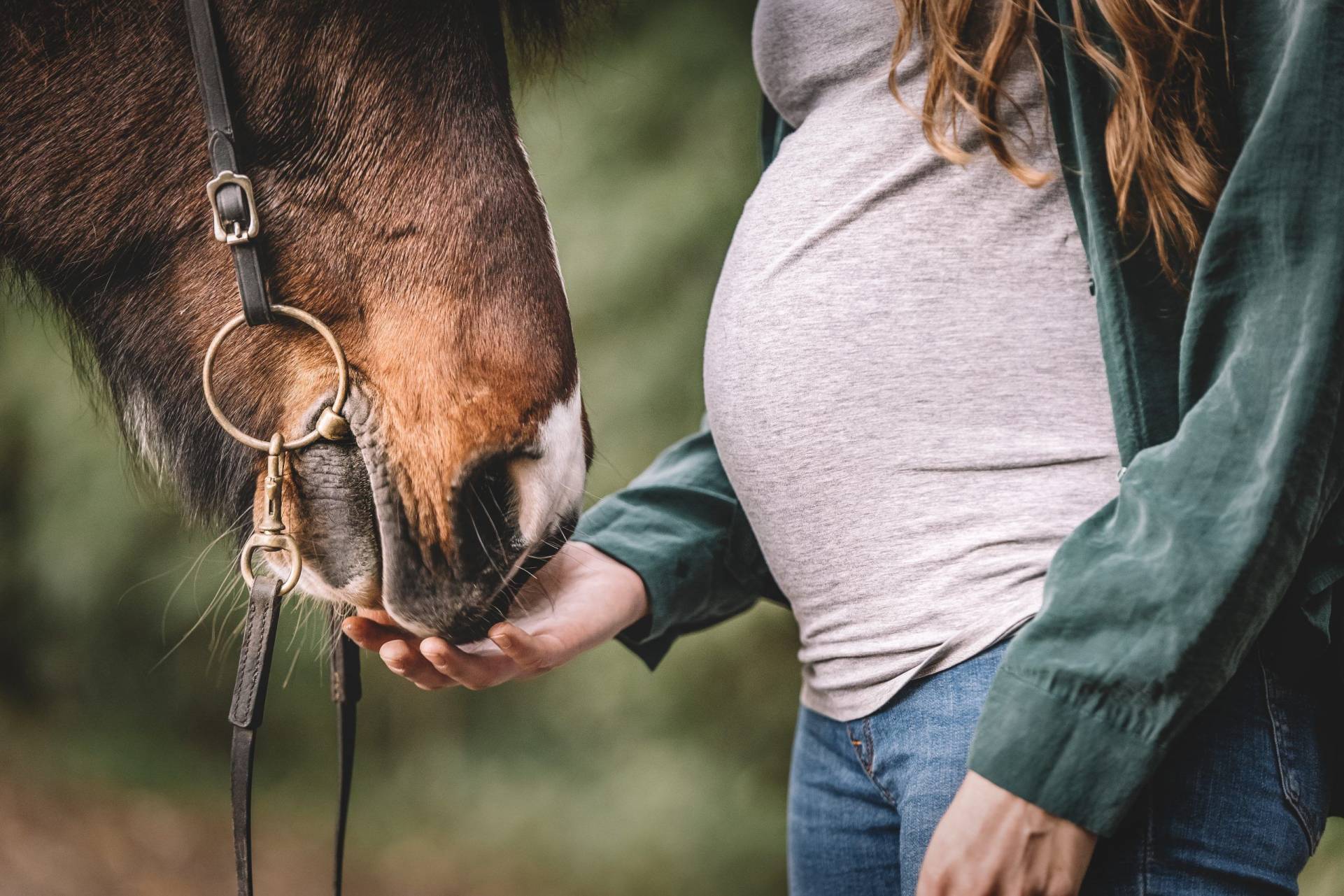 Outdoor-Shooting mit Pferd und Babybauch